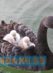 Фото и видео с телефона 005.jpeg